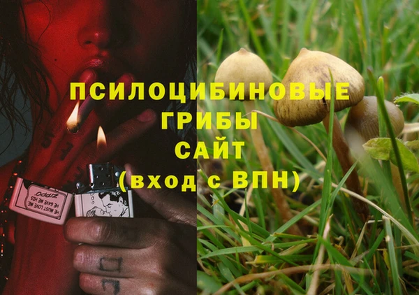 бутират Арсеньев