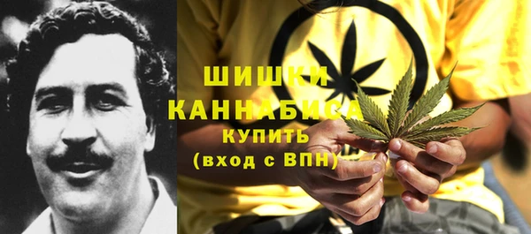 ГАЛЛЮЦИНОГЕННЫЕ ГРИБЫ Приозерск