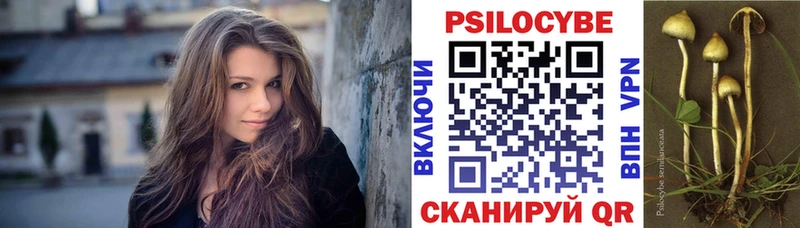 Галлюциногенные грибы Psilocybe Мамоново